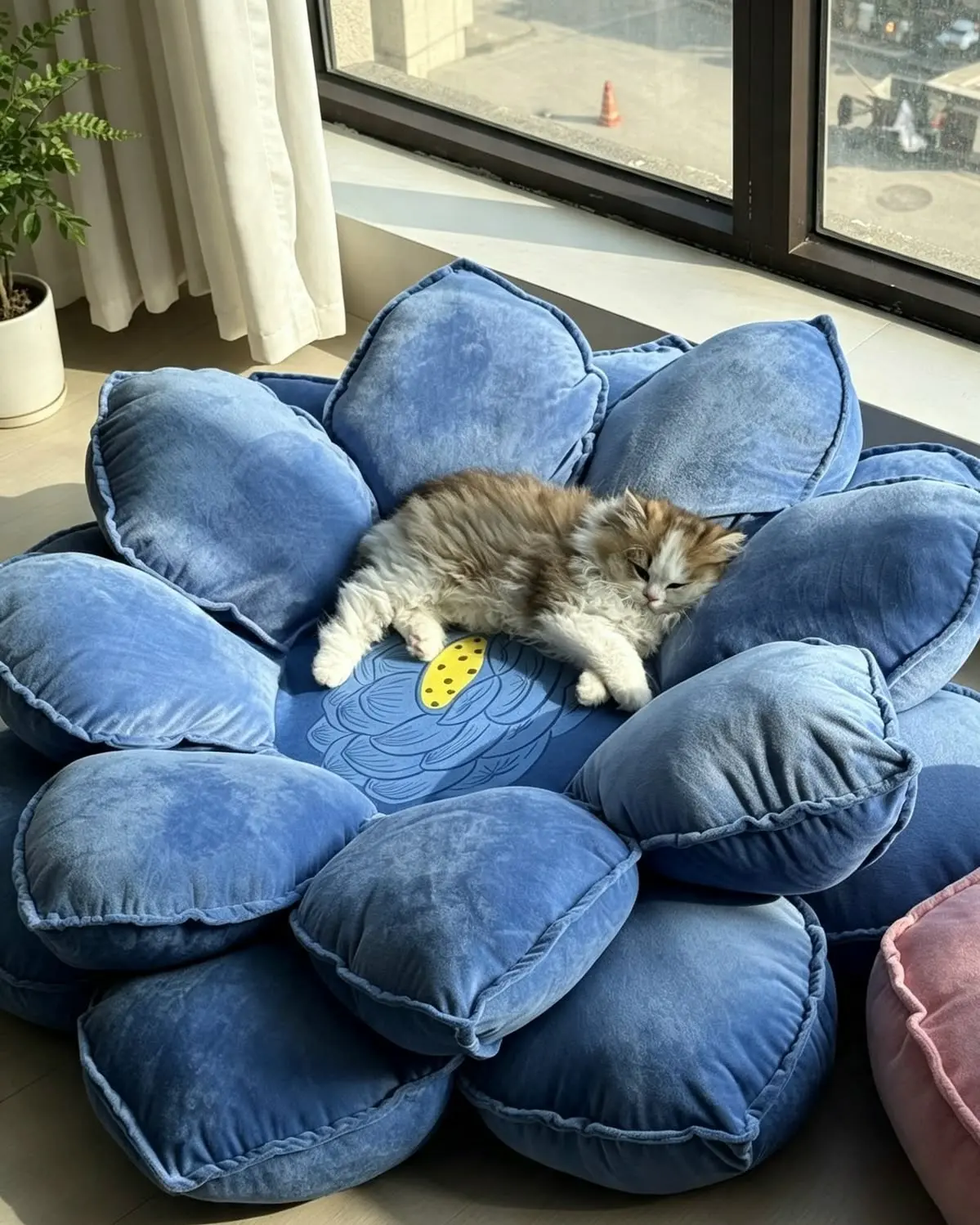 Это не лежанки для котов, а полноценные произведения искусства 😍