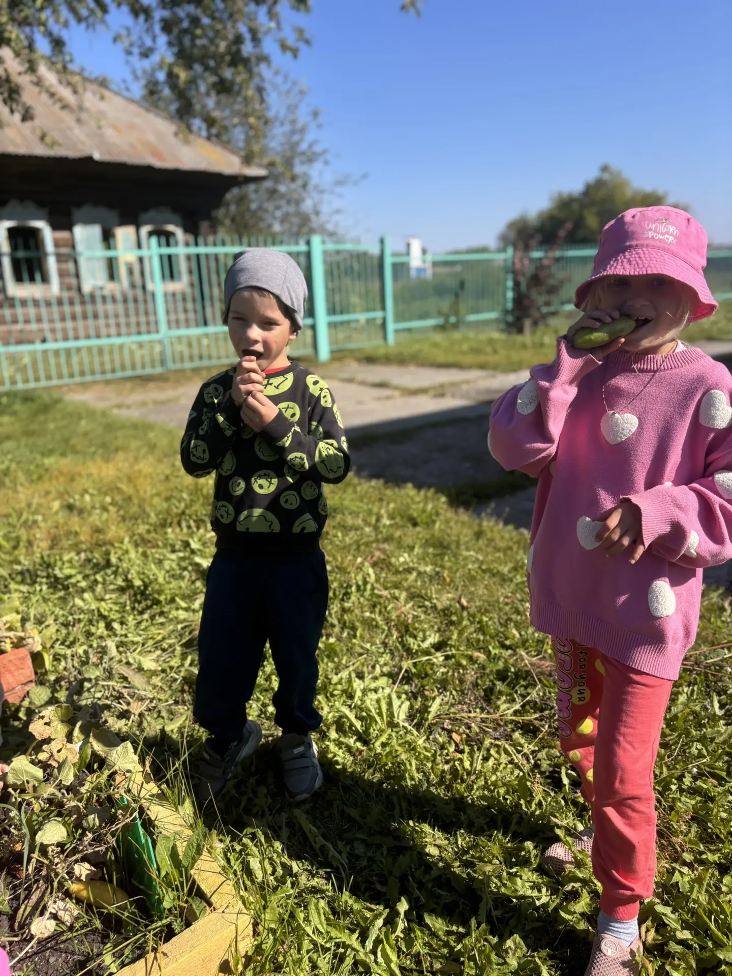 Маленькие руки — большое дело! Наш урожай в тарелке! 🌱👩‍🌾