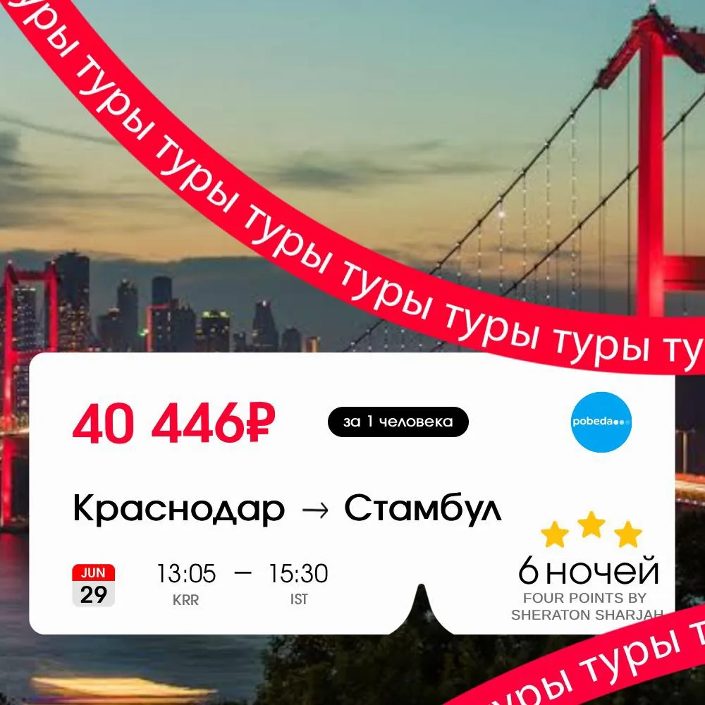 Коромить кошечек, которые живут лучше, чем ты 🇹🇷
