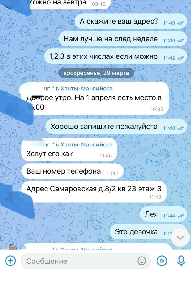 1 апреля 2026 года в 15:00 мы отвезли нашу собаку Лею породы Йоркширский терьер к грумеру Гр***нг в 