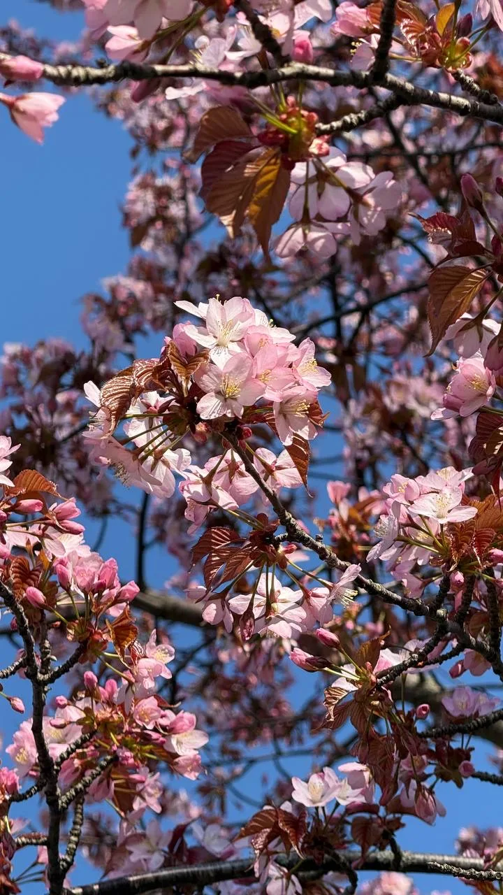 Доброе утро, Южный! 🌞  В эту субботу погода решила порадовать нас настоящим, почти летним теплом. Со
