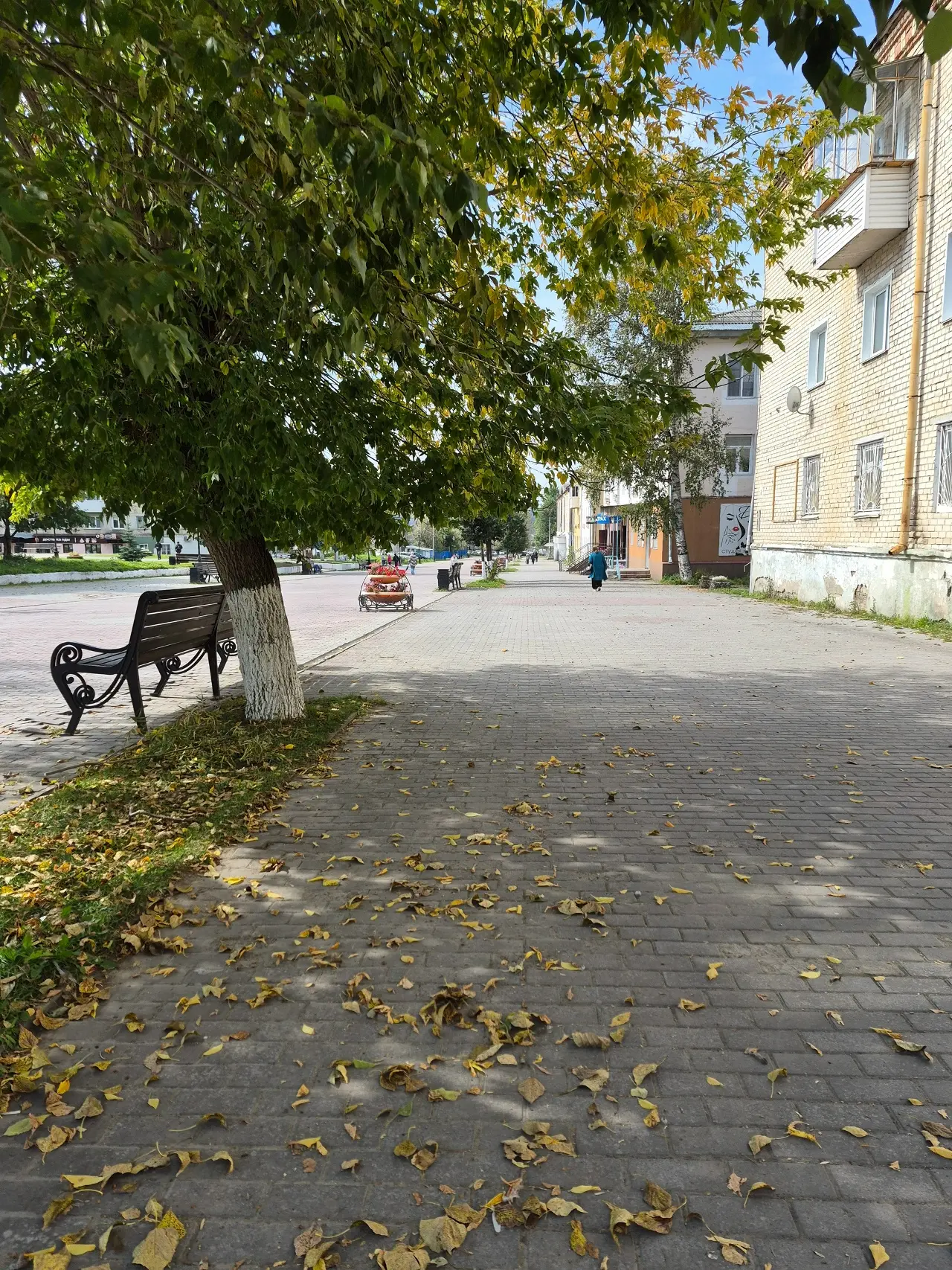 Лето решило задержаться в Челябинской области! Сегодня, 7 сентября, столбики термометро...