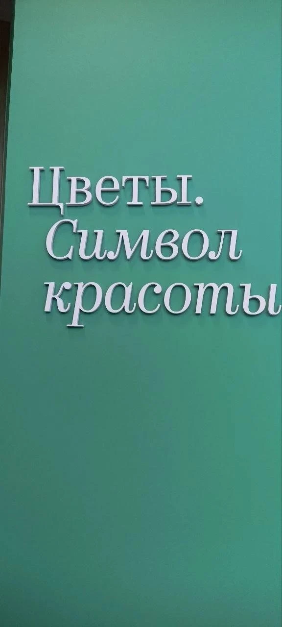 День, когда я встретилась с красотой: поход в Третьяковскую галерею