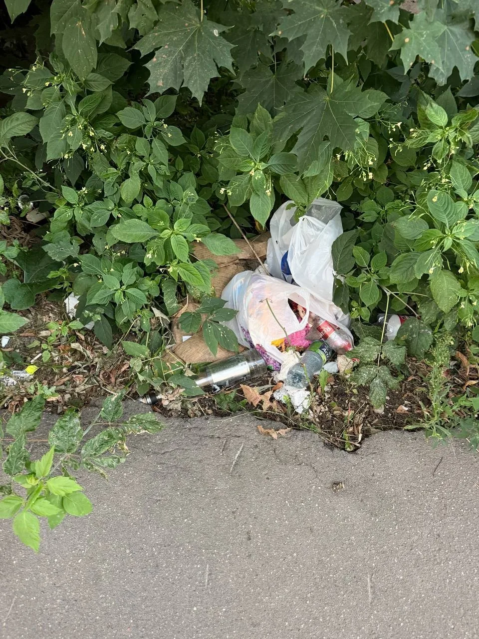 Здравствуйте, просьба убрать мусор вдоль забора за домом на Воронина 14 (забор относитс...