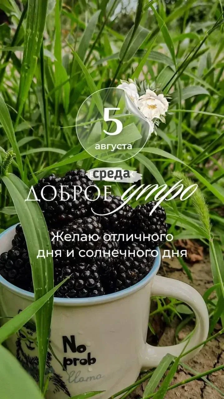 Я в Tг | Я наOZON |
Салюты | Пневматика | 
Компьютеры| Самогон