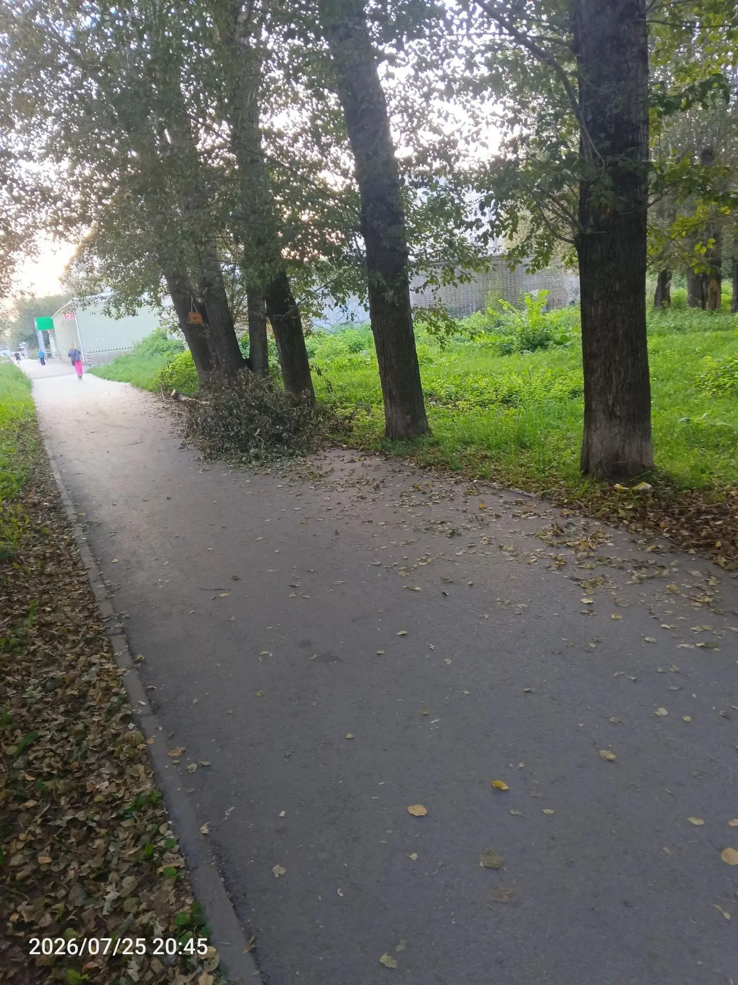 🌳 В Каменске-Уральском пожаловались на неубранные ветки

Жители сообщили, что в районе 49-го кварта