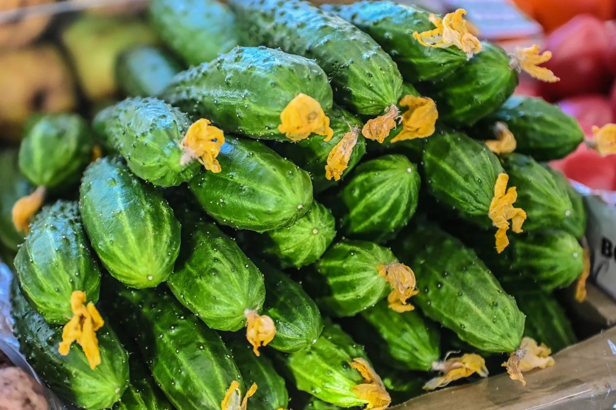 💚 На прилавках московских ярмарок появились молодые грунтовые огурцы – одни из самых универсальных 