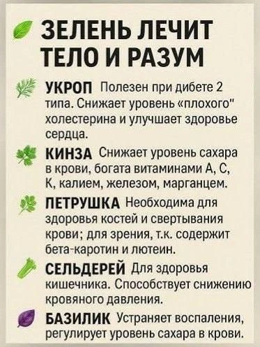 Полезные травы 🌿

Первый Пенсионерский 

👉Выплаты и Льготы