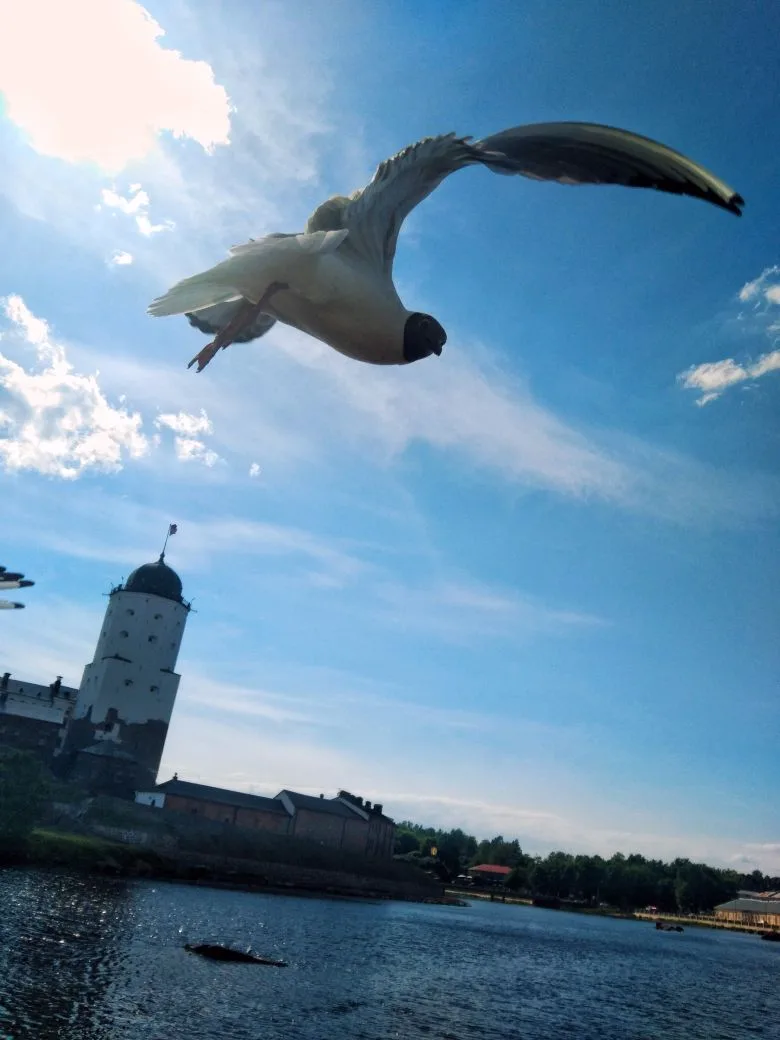 Коротко о погоде 📸

Сегодня солнечно, днём воздух прогреется до +20, осадков не ожидается, ветер юж