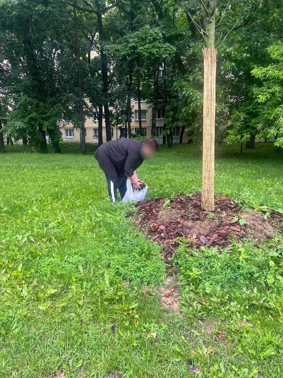 😳 В Москве у метро «Коньково» засняли сборщика коры

Местные жители заметили мужчину, который прямо