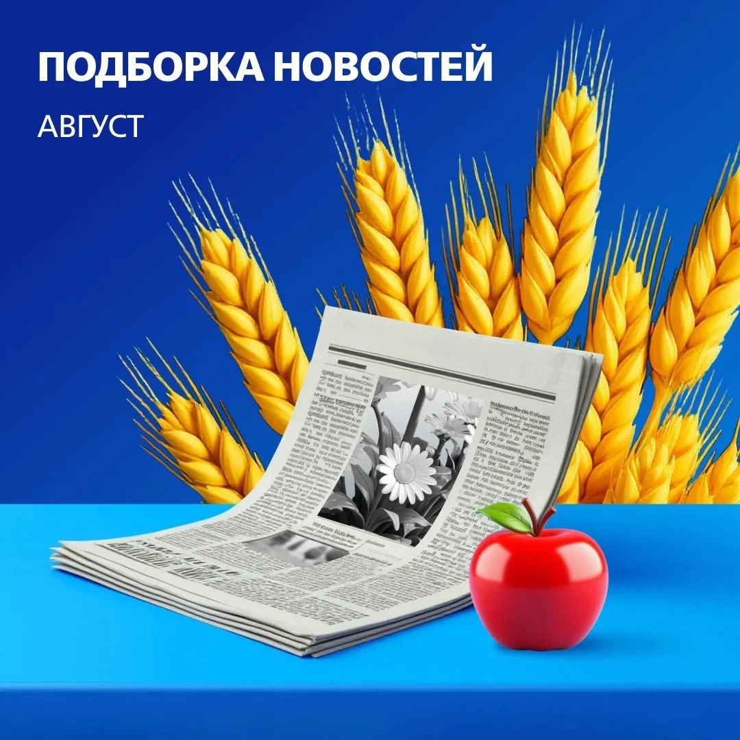 Что произошло в августе? 💬