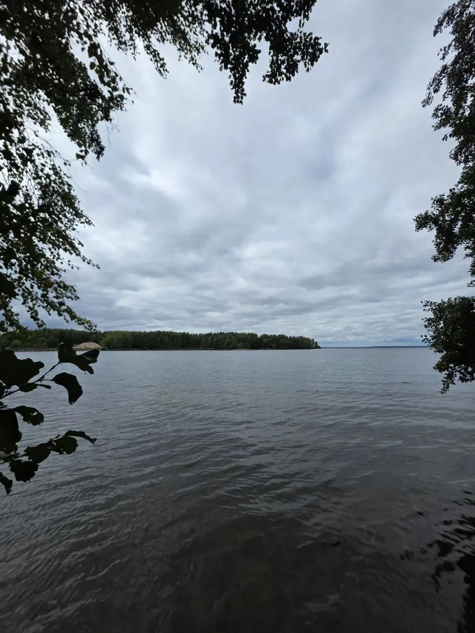 🌲🌊 ВОТ ТАКОЕ КРАСИВОЕ МЕСТО У НАС!