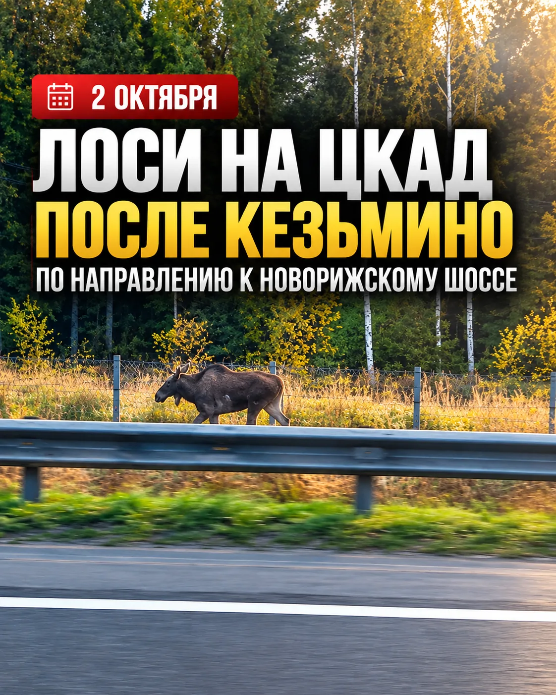 Городской телеграм: