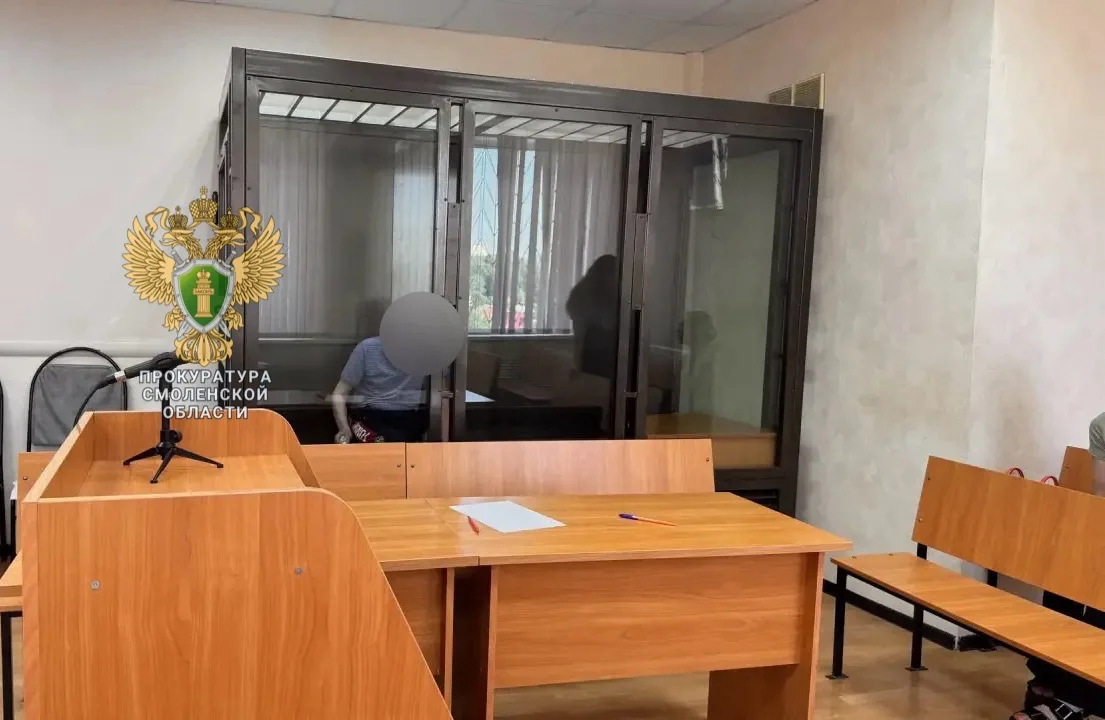 С учётом позиции представителя прокуратуры Ленинского района г. Смоленска суд избрал меру пресечения