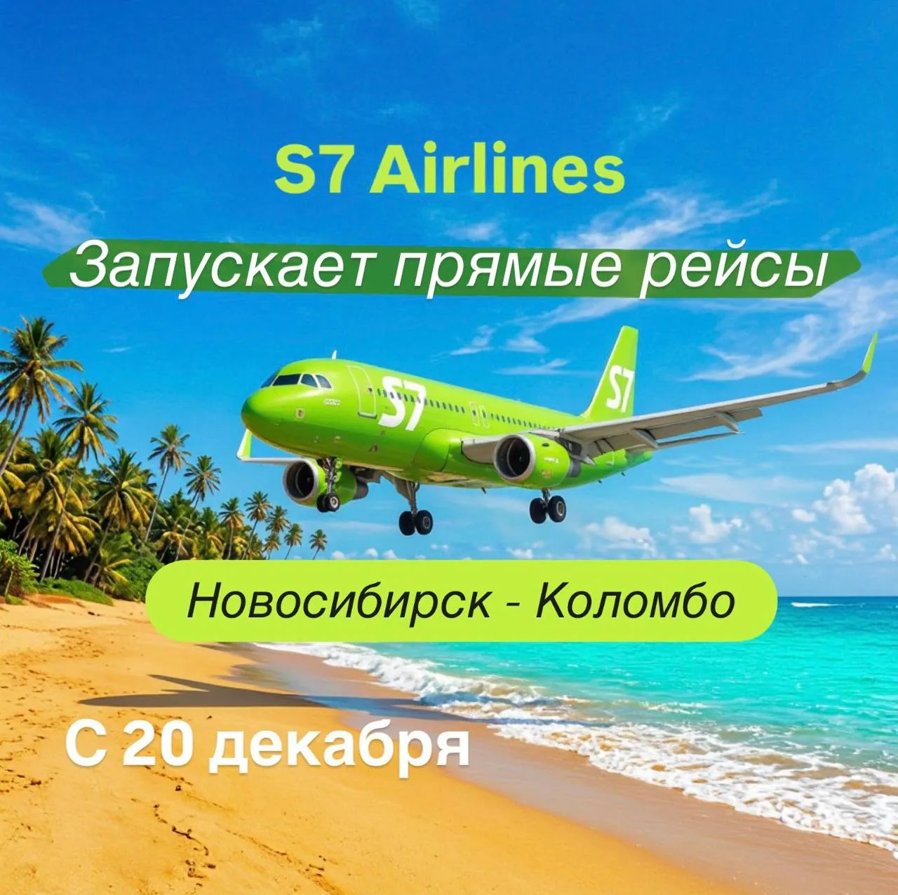 🔥🔥СУПЕР НОВОСТЬ: ПРЯМОЙ РЕЙС НА ШРИ-ЛАНКУ ИЗ НОВОСИБИРСКА! ✈️🇱🇰