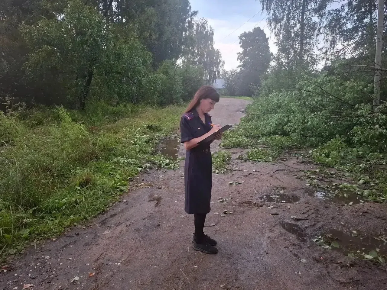 ⚡️Следком: «В Валдайском округе возбуждено уголовное дело по факту гибели мужчины в результате элект