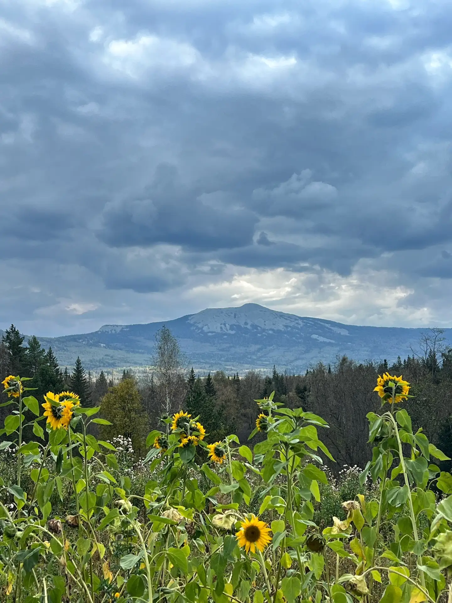 ⛰🍂🍃 Осень в национальном парке Зюраткуль