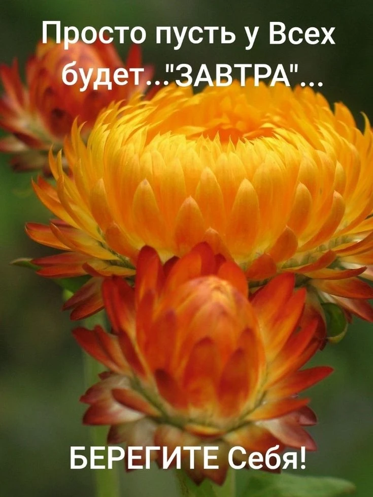 🧡🧡🧡