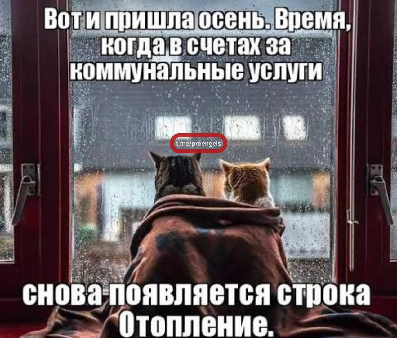 🥶Пора включать отопление?