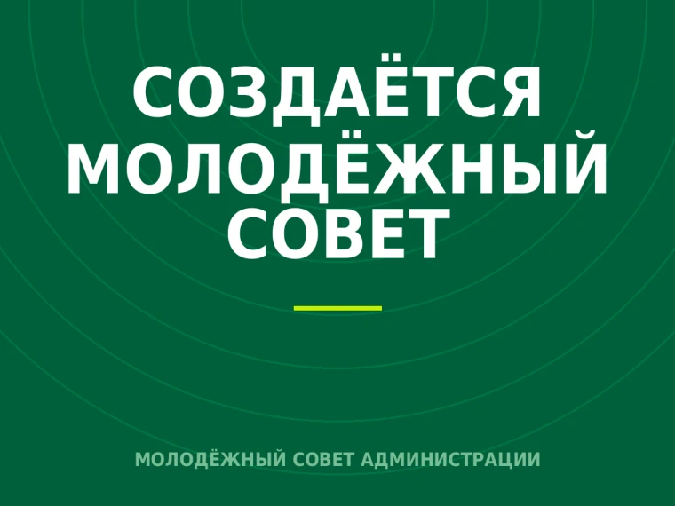 В городском округе рабочий поселок Новогуровский Тульской области создаётся Молодёжный ...