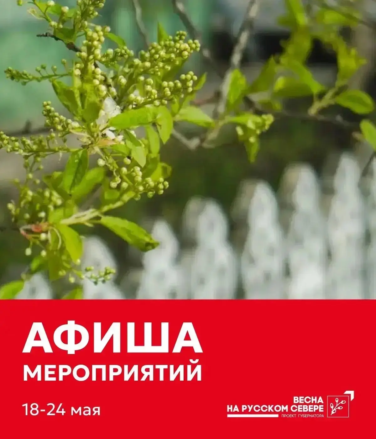 Глава Вологды Сергей Жестянников поделился афишей мероприятий в рамках проекта губернатора «Весна на