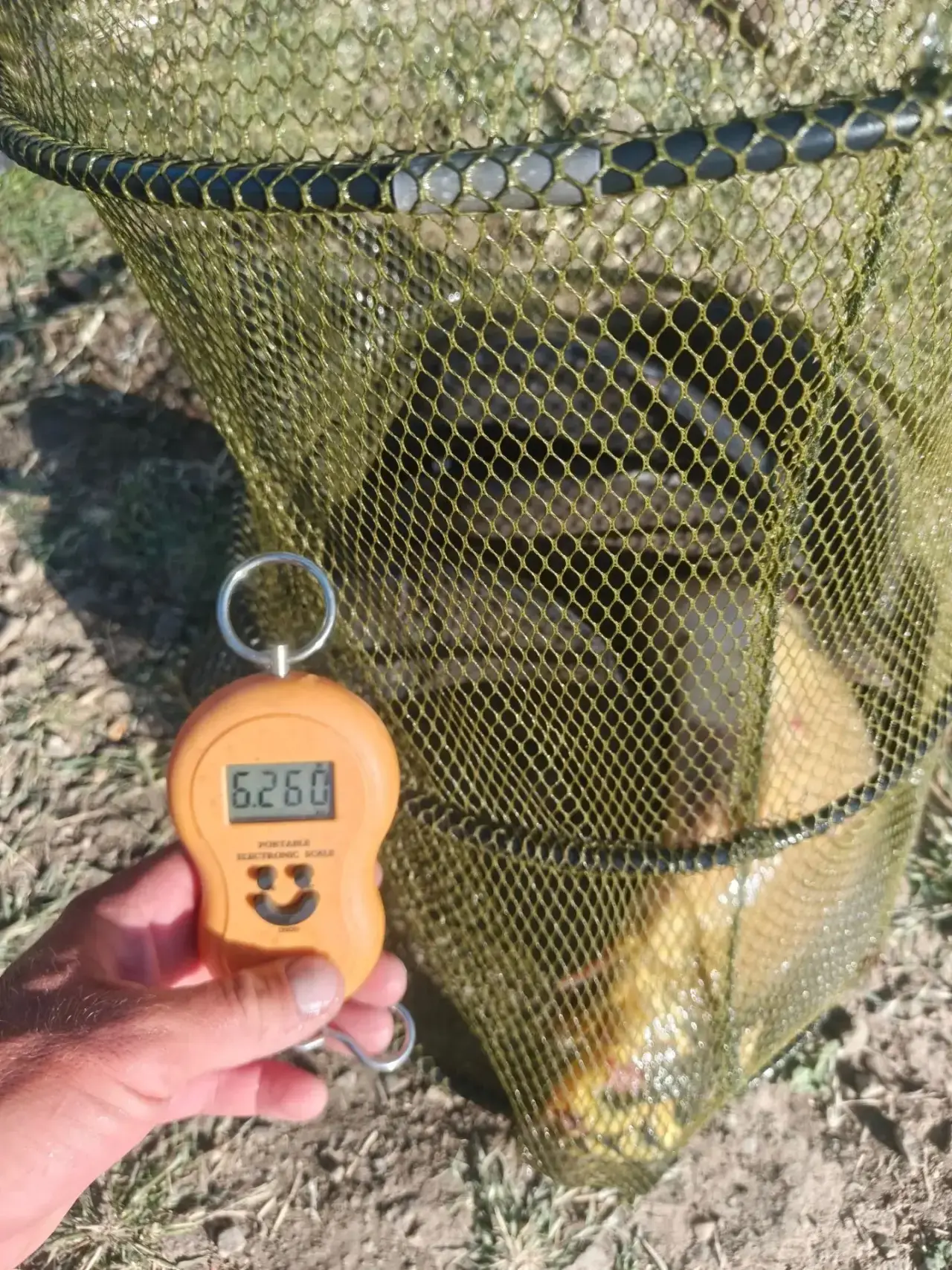 Делимся уловами 🎣😎