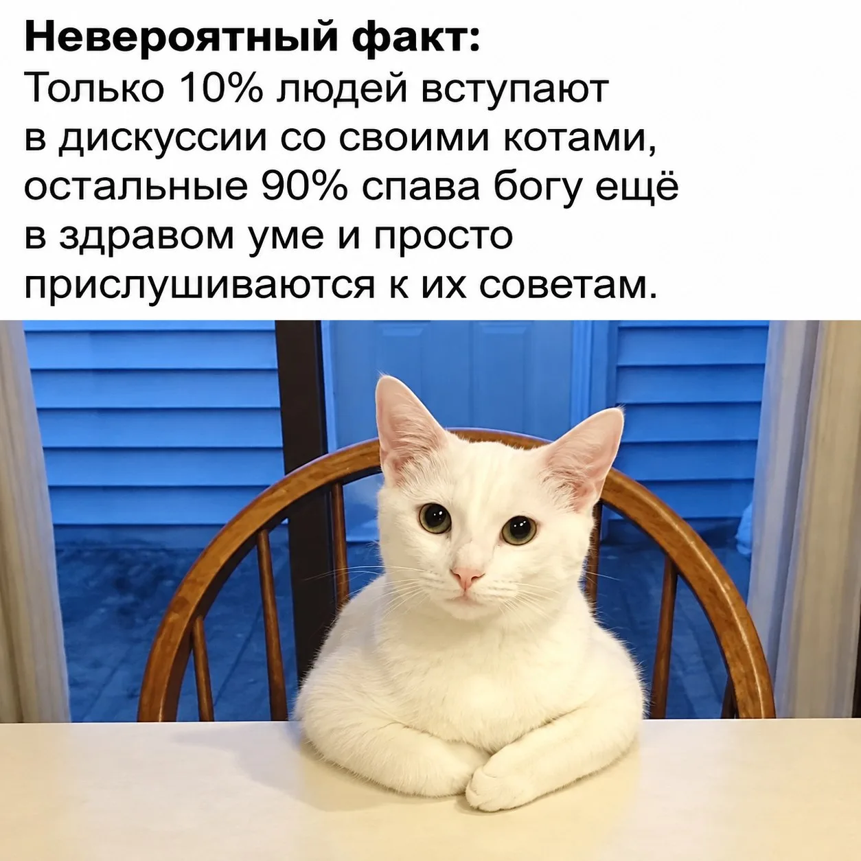 👑 Королева сарказма
