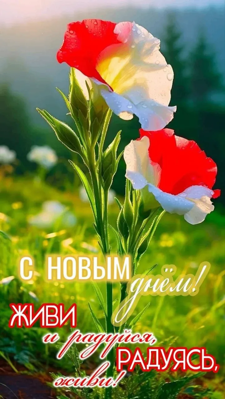 🥰 Ставьте реакции и делитесь открыткой с близкими ❤️

💌 Лучшие Открытки в MAX! 👉 Подписаться