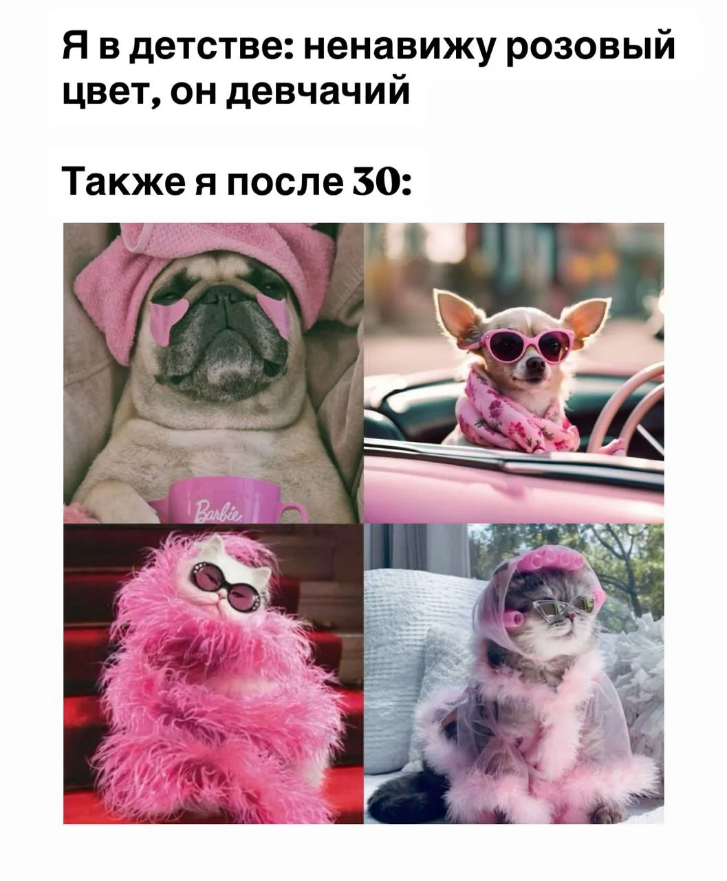 Муд😸