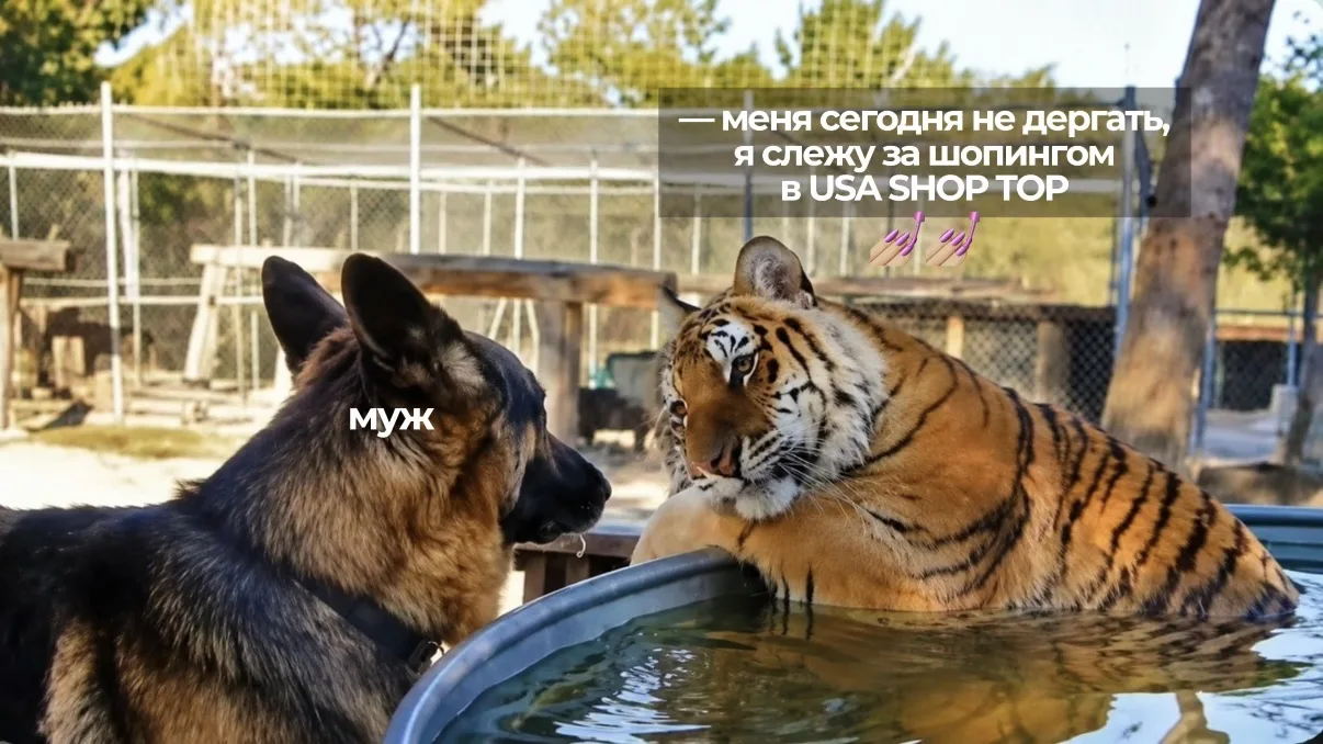 Время для шопинга 🕐