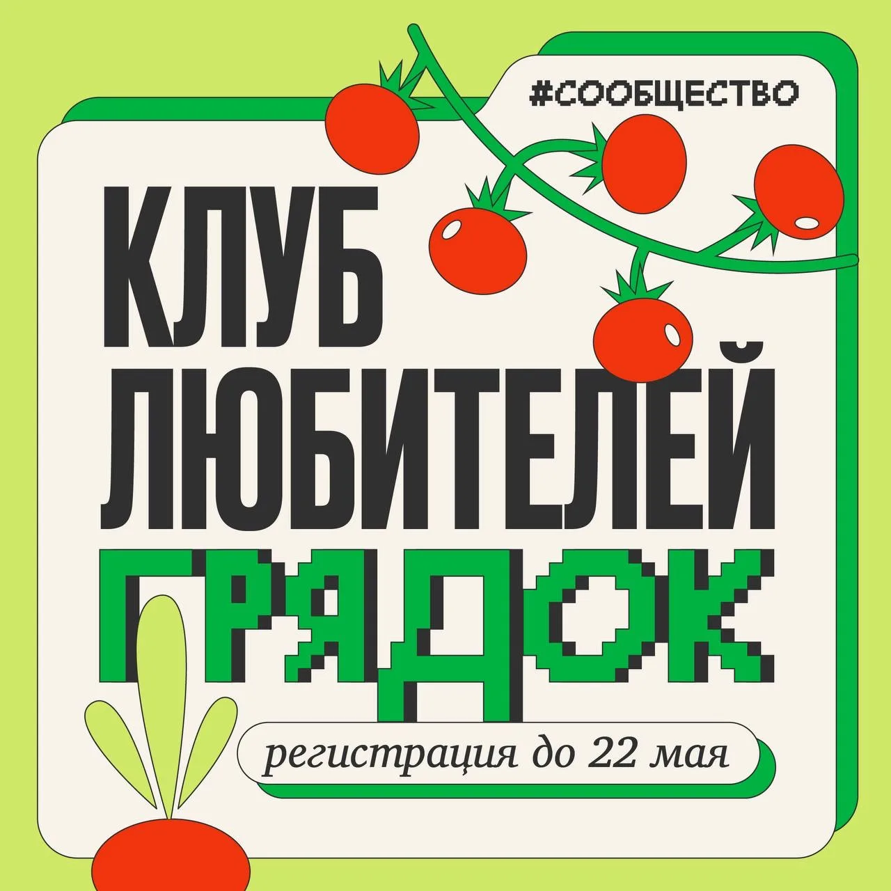 Открываем клуб любителей грядок и урожая👨‍🌾🪴