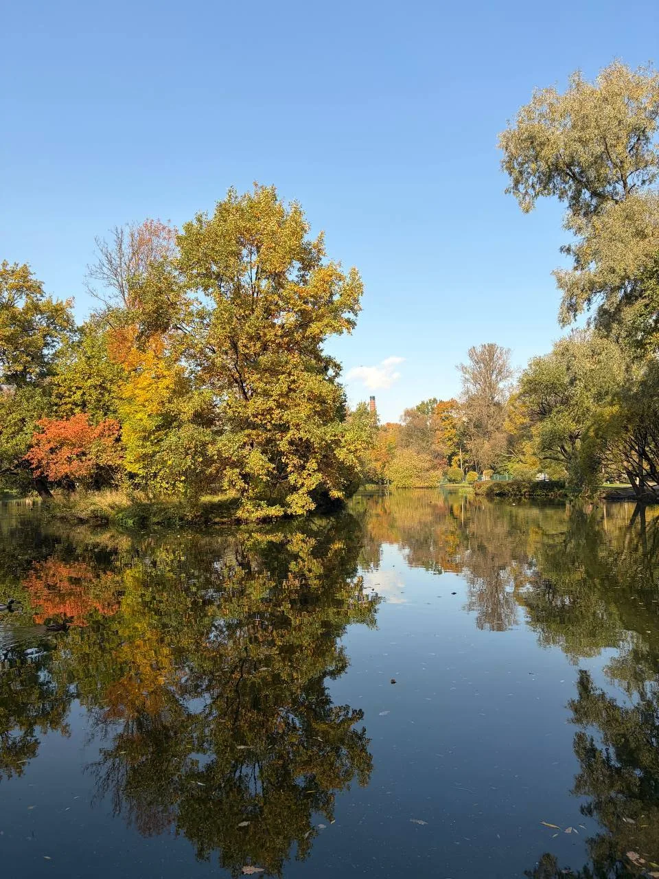 🍂 Осень в Екатерингофе