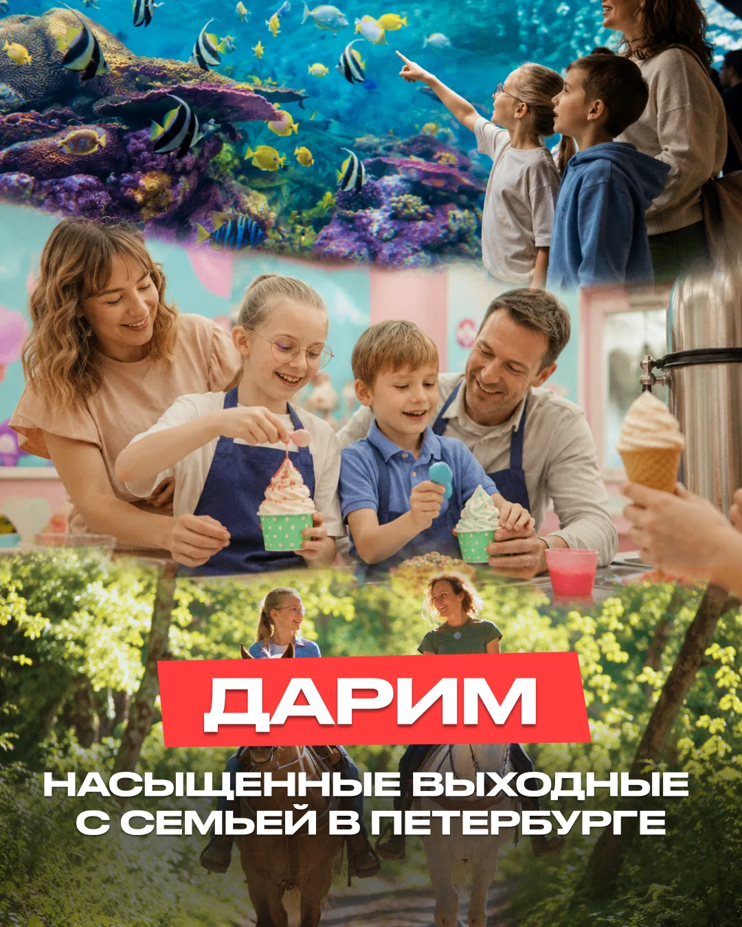 🏁 КОНКУРС ЗАВЕРШЁН!
