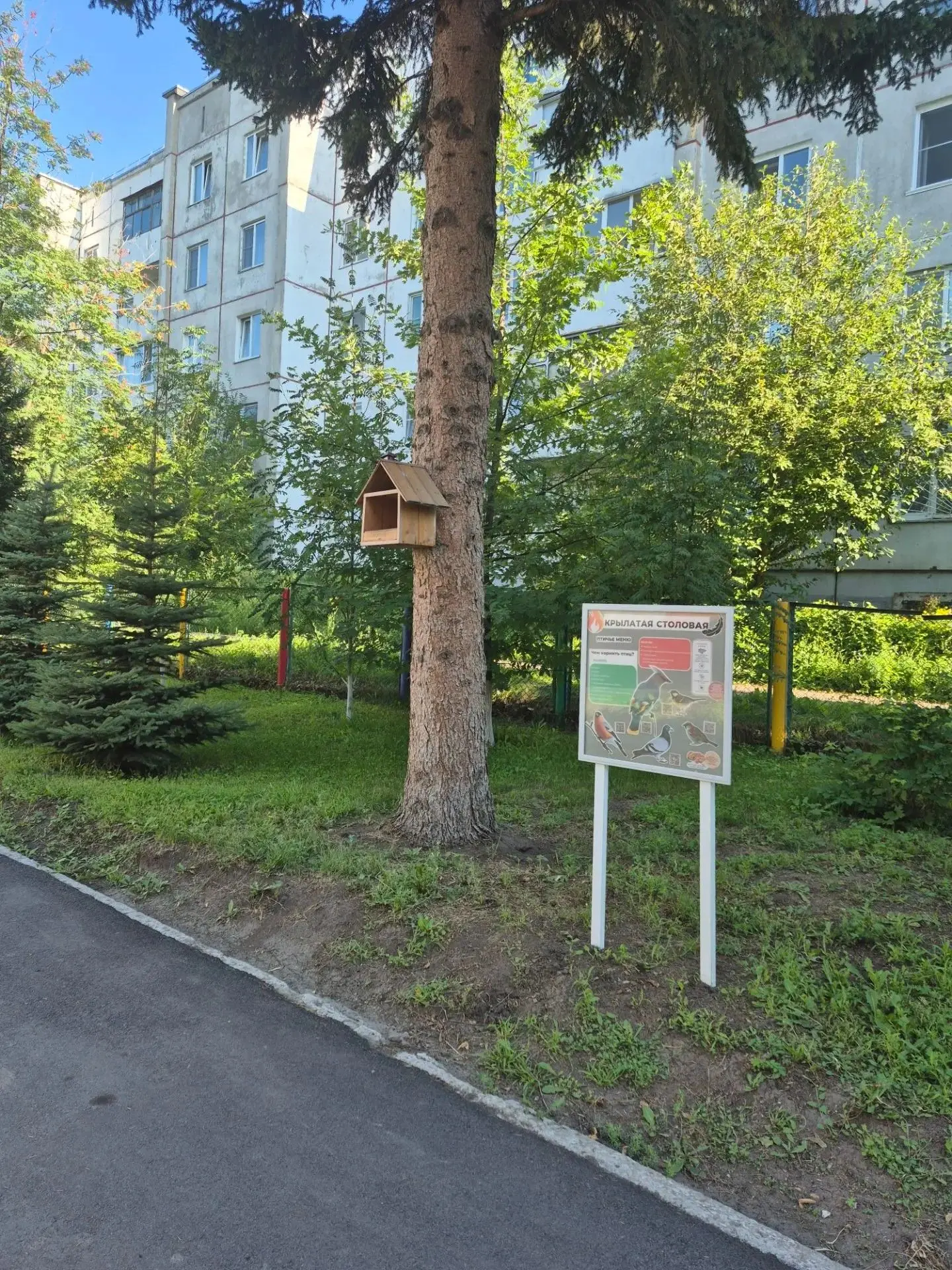 Экскурсия по территории детского сада — это маленькое путешествие в мир красоты, тишины...