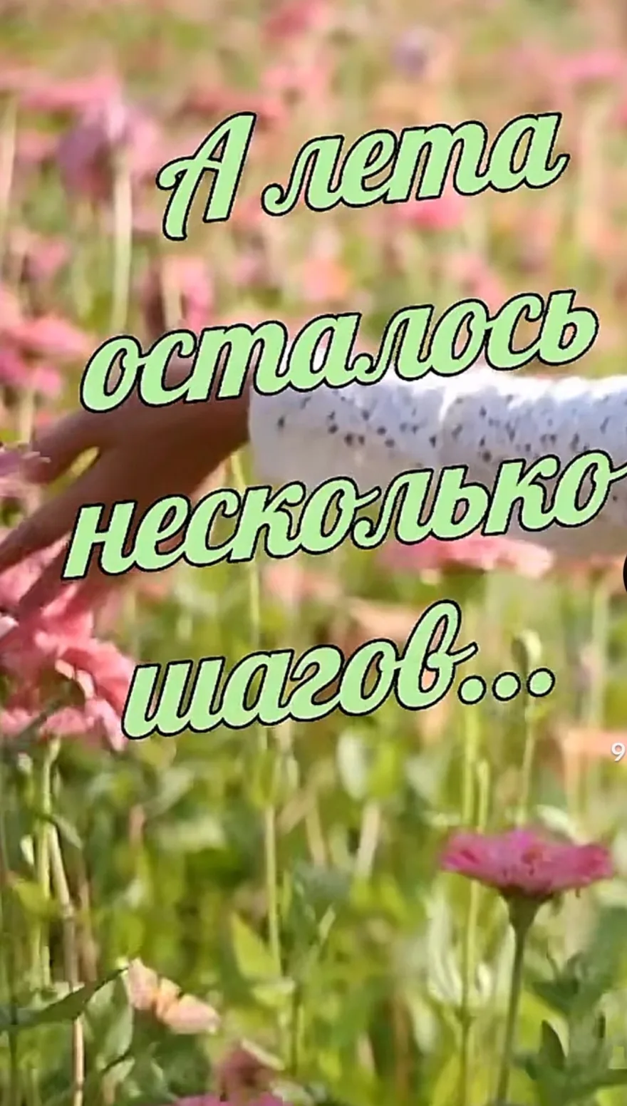 Всем доброго, прекрасного выходного