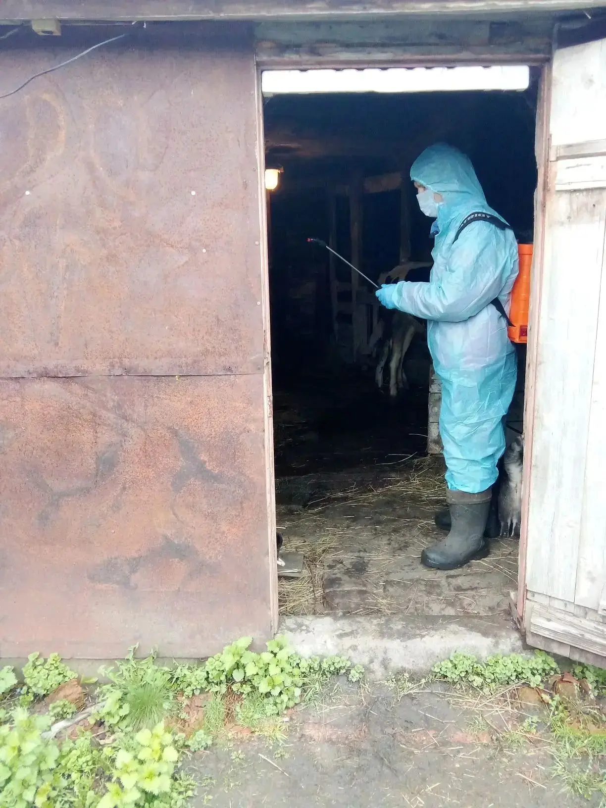 В Аннинском муниципальном районе прошли учения по недопущению распространения и ликвида...