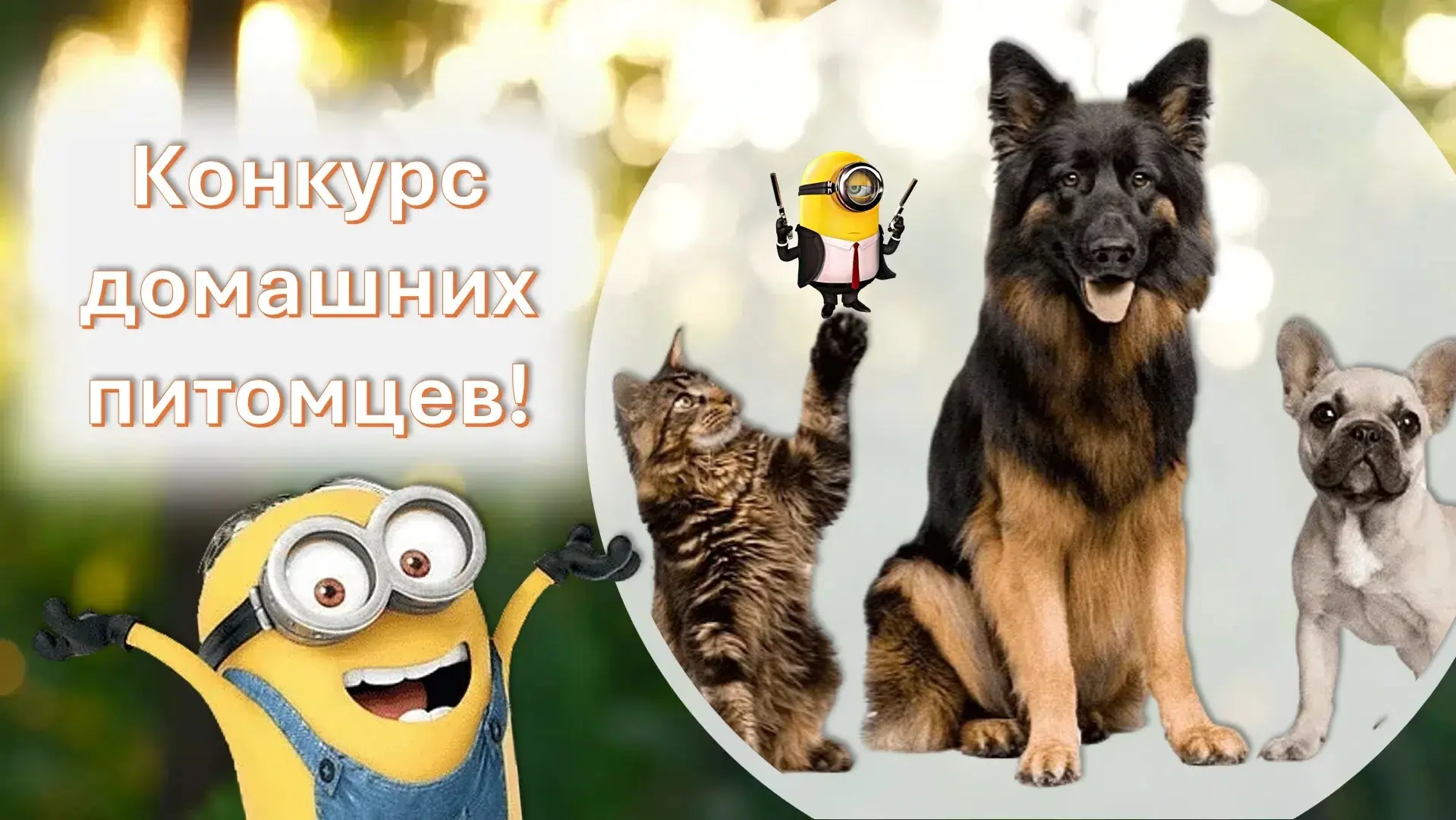 Друзья уже совсем скоро, а именно 30 июня в 17:00 будем подводить итоги нашего конкурса животные в M