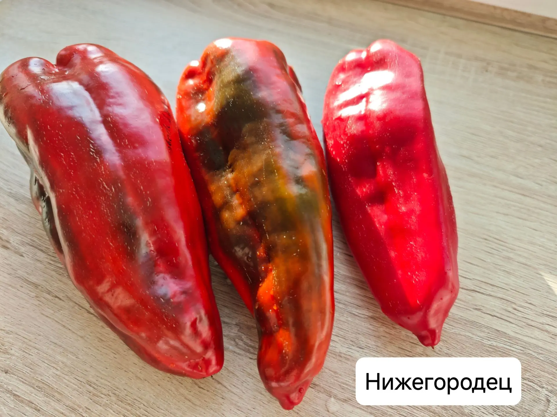 Выпустила все семена, сейчас они сохнут на стеллажах. Фото успела сделать — поделюсь!