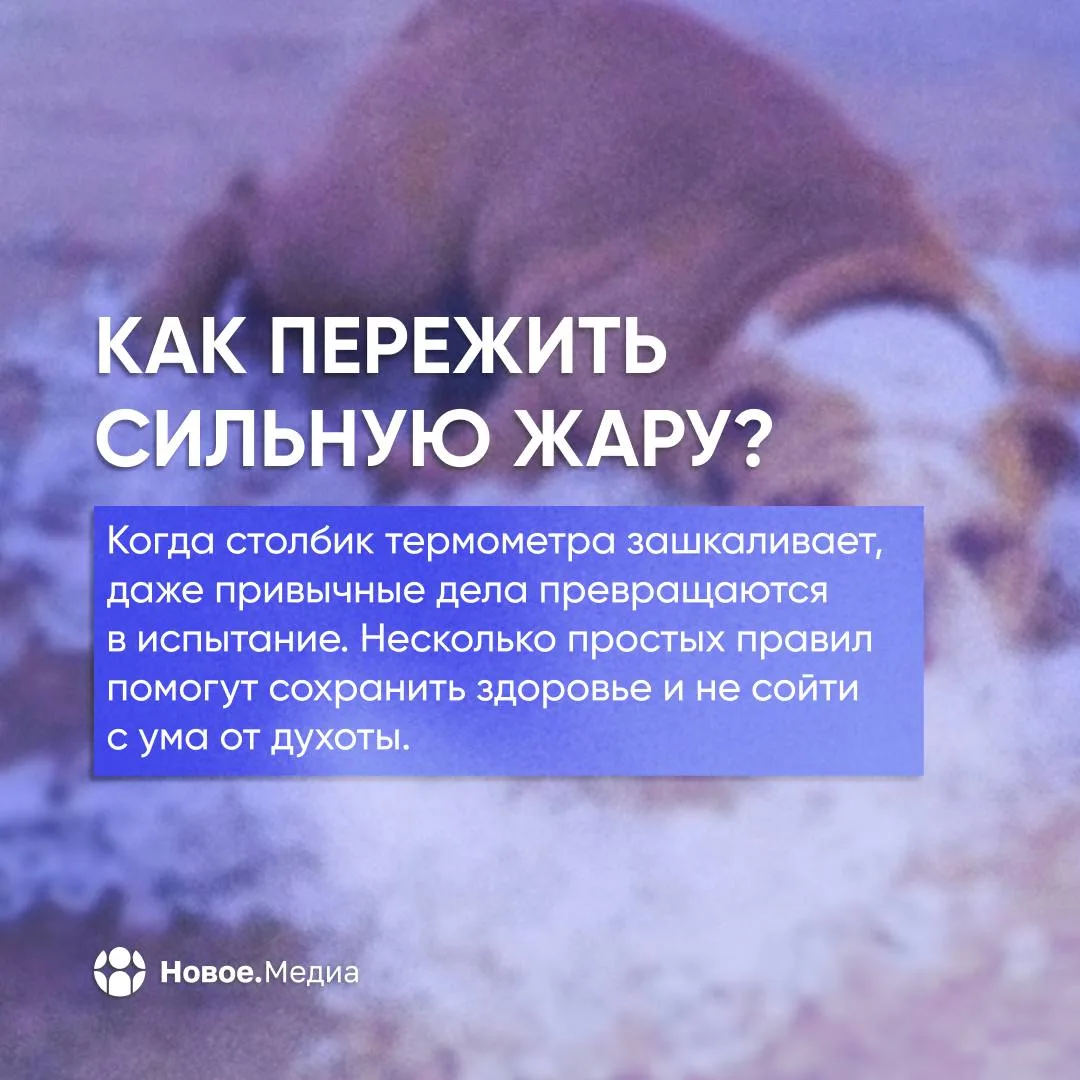 ☀️ Спасаемся от пекла