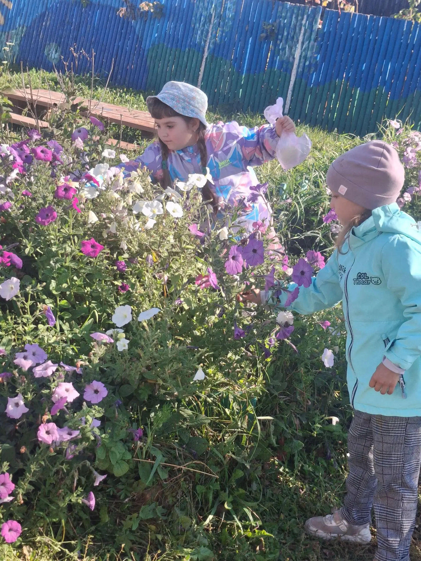 🌱 Урожай уже собран, а у нас — новый важный этап: мы с ребятами из группы «Жемчужинка»...