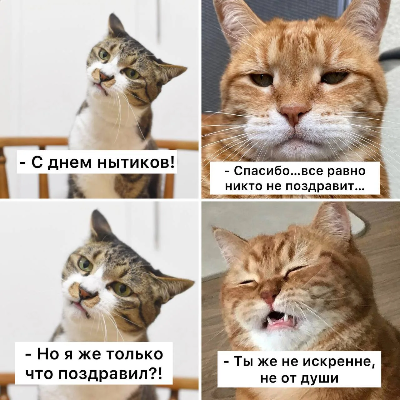 🥰 Доброе утро, москвичи

Сегодня пасмурно, днем дождь и до +12 градусов 

Сегодня отмечается День н