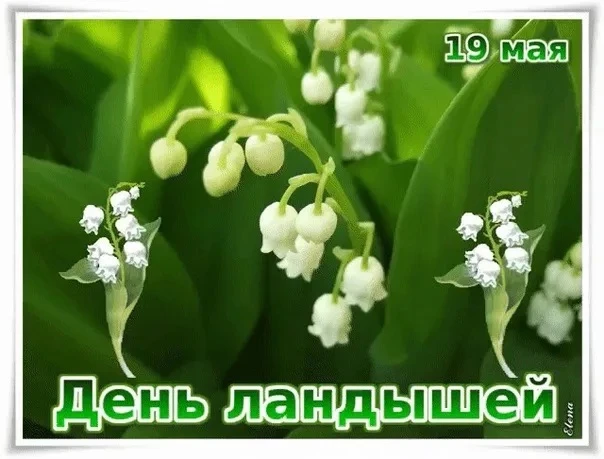19 мая — дата Дня ландышей в России. 

Это неофициальный праздник, посвящённый этому весеннему цветк