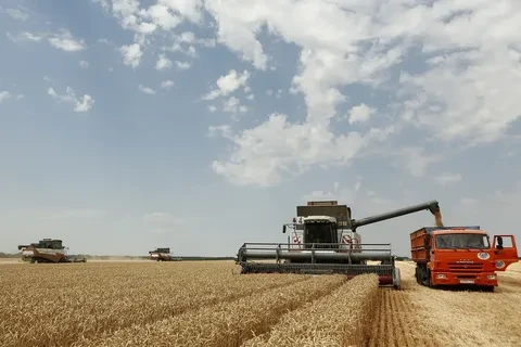 В Саратовской области началась уборка яровых зерновых культур. Первыми начали убирать яровую пшеницу
