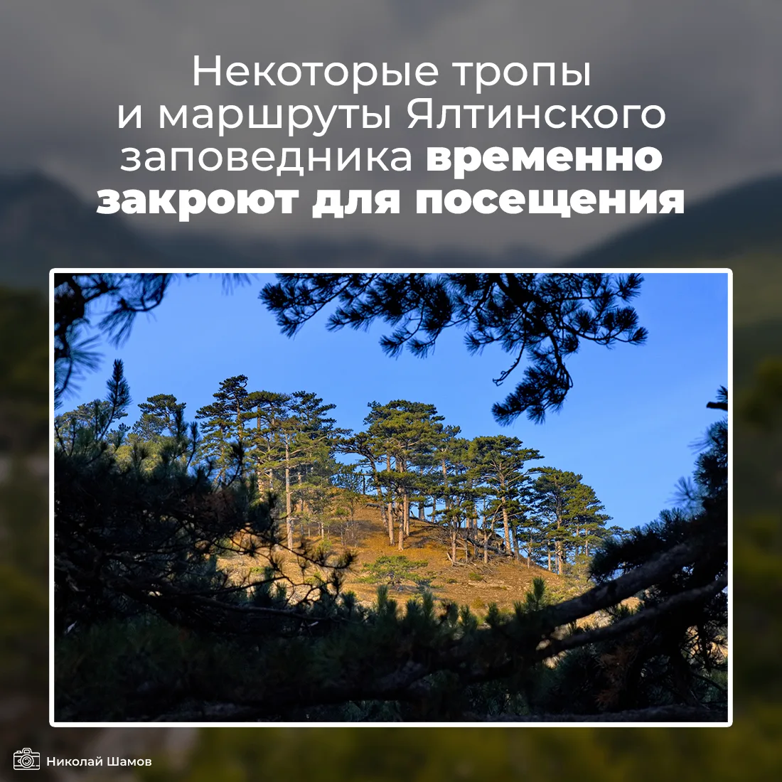 С 30 июня часть экологических троп и туристских маршрутов Ялтинского горно-лесного запо...