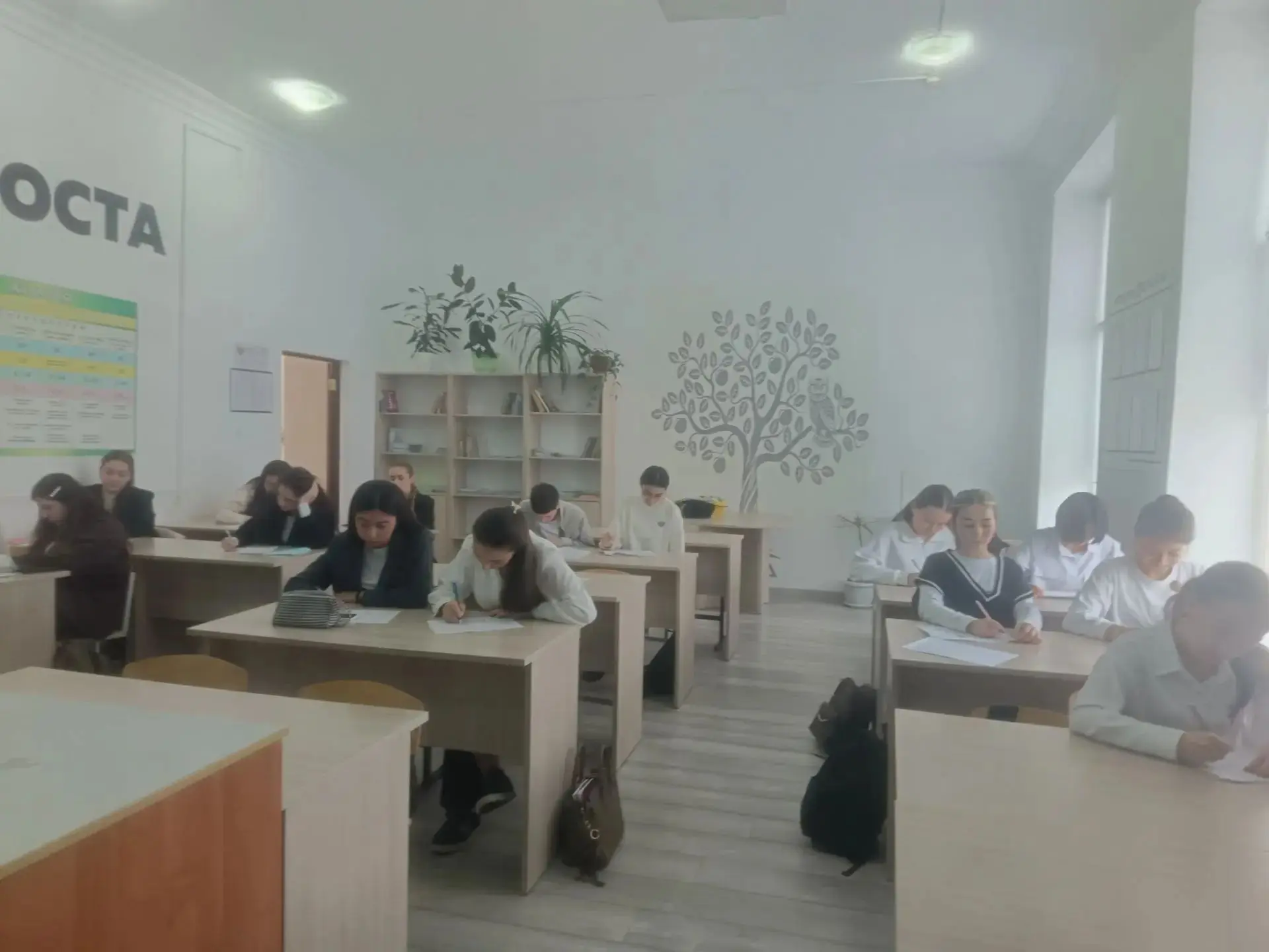 Школьный этап олимпиады по ЭКОЛОГИИ