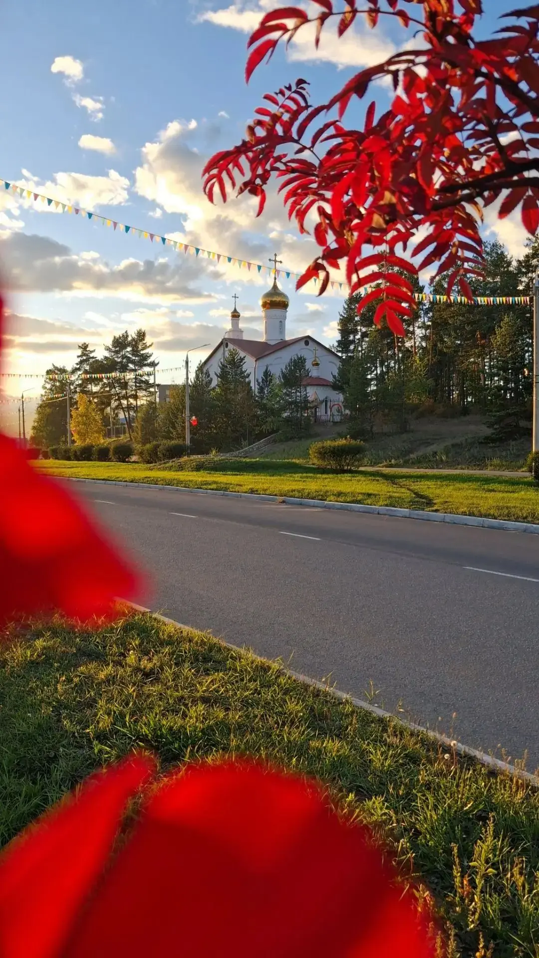 📷 автор
