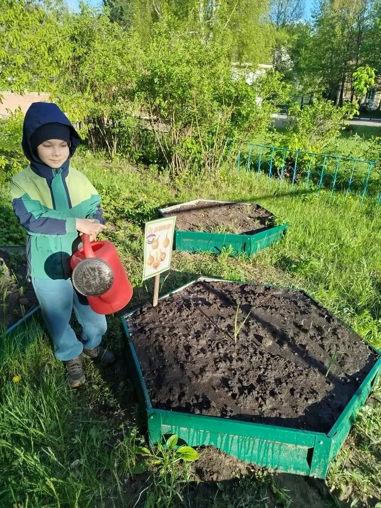 Посадили огород,