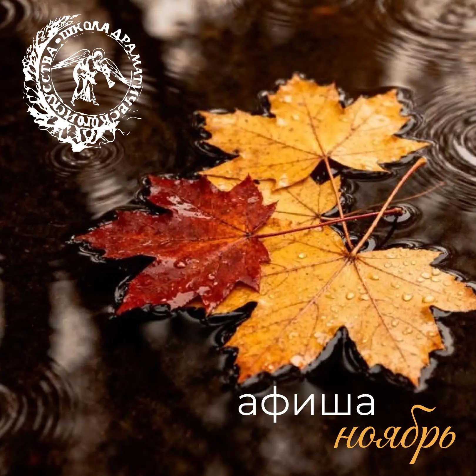 Совсем скоро за окном будет тот самый ноябрь…🍂❄️🌧️
