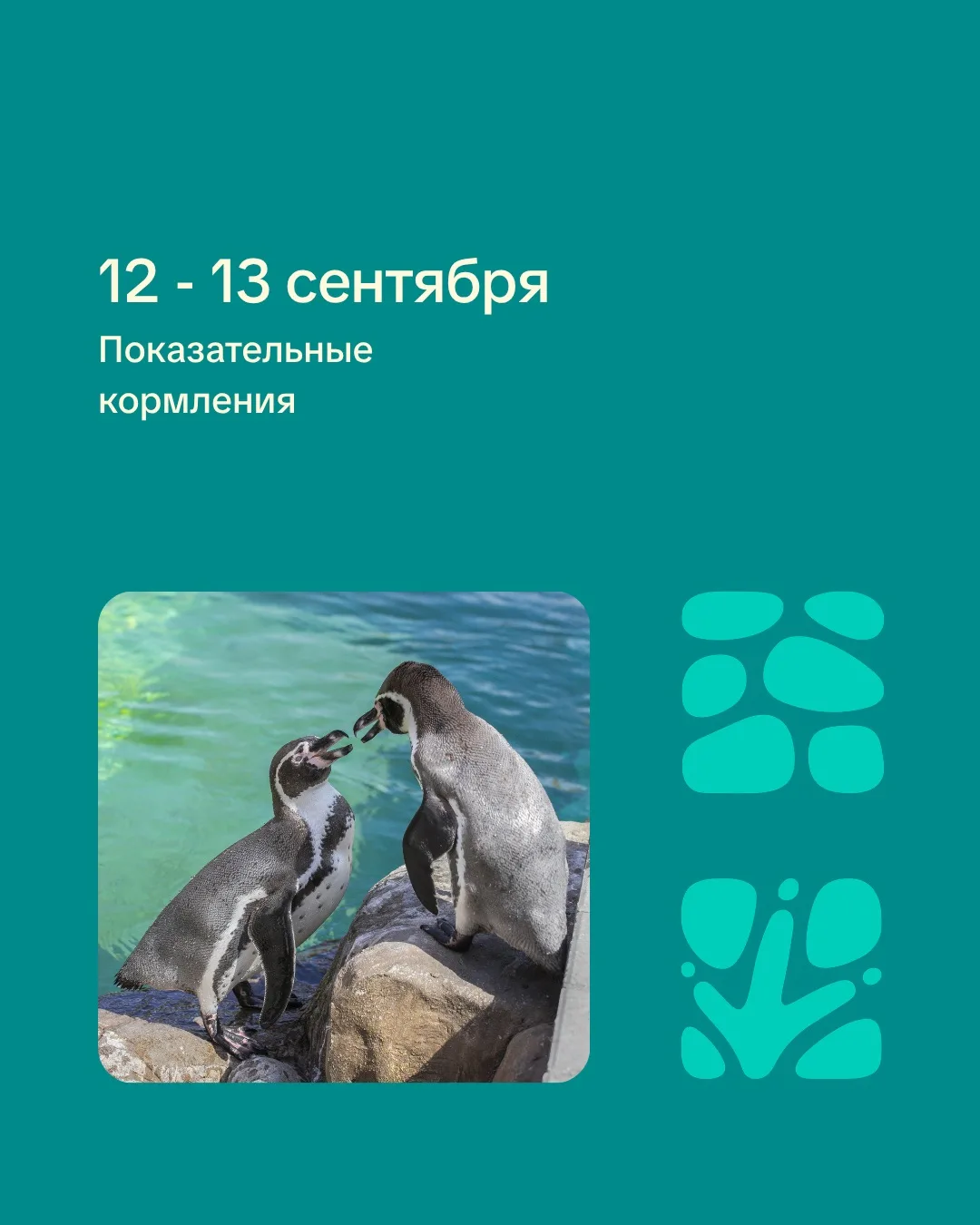 🍇Друзья, ждем вас на показательные кормления в эти выходные!