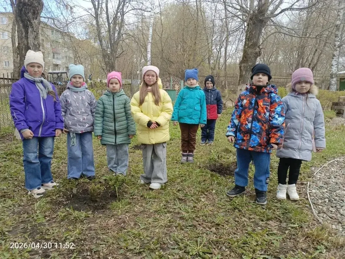 🌳🇷🇺 В рамках Всероссийской акции «Сад памяти»  дети вместе с педагогами  высадили на...